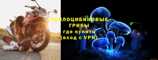 ПСИЛОЦИБИНОВЫЕ ГРИБЫ Дмитров