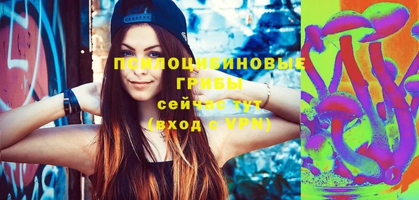 кристаллы Гусев