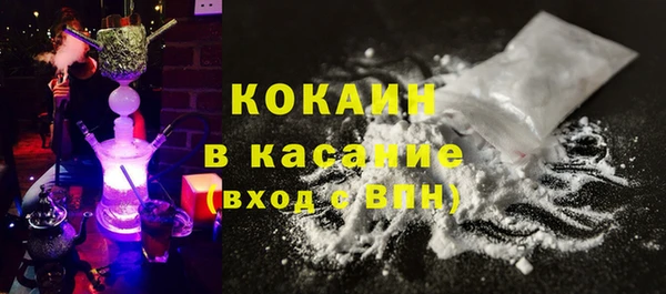 прущие грибы Елизово