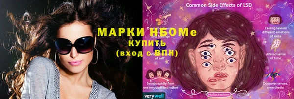 кристаллы Гусь-Хрустальный