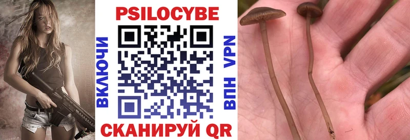 Псилоцибиновые грибы Psilocybine cubensis  Купить где  Лихославль 