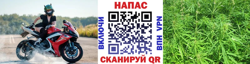 Купить где  Лихославль  Канабис White Widow 